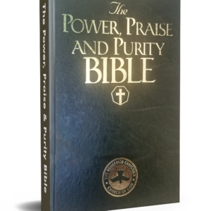 Praise and Purity Bible